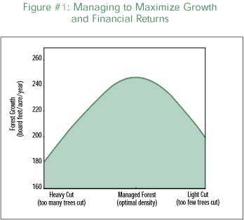 Managing to Maximize Growth and Financial Returns