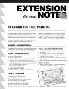 Planning For Tree Planting