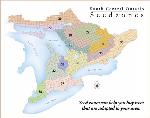 seed zones for south central ontario