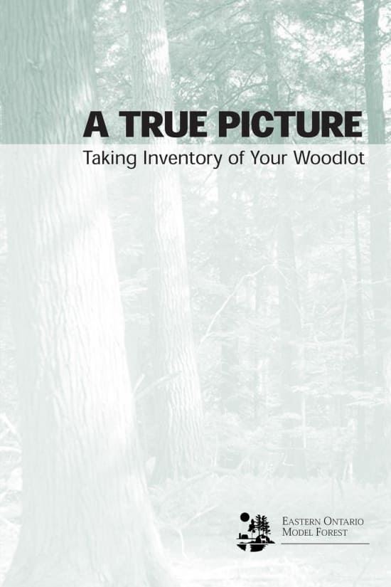 A True Picture - Taking Inventory of Your Woodlot